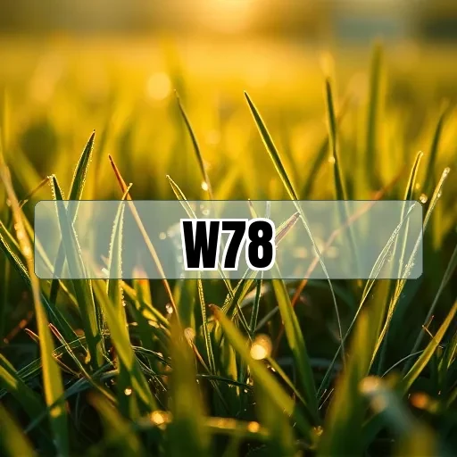 w78.com Bingo